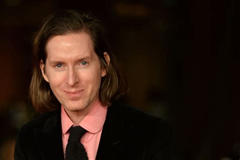 wes anderson films  overview  commentary   film hngn headlines global news
