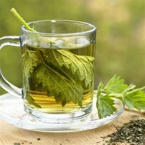 7 mineral rich herbal teas to drink
