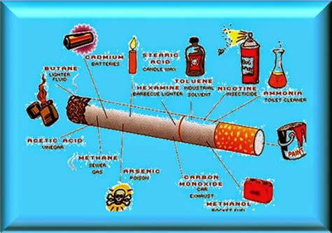 kandungan bahan beracun   rokok   diketahui ndruju tumpuk