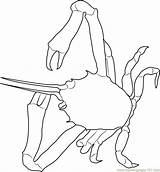 Crab Masked Coloringpages101 Lightfoot Gulf Fiddler sketch template