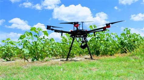 precision agriculture  flight  biological  agricultural engineering  nc state