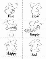 Opposites Worksheets Preschool Printables Activities Wordpress Kindergarten sketch template