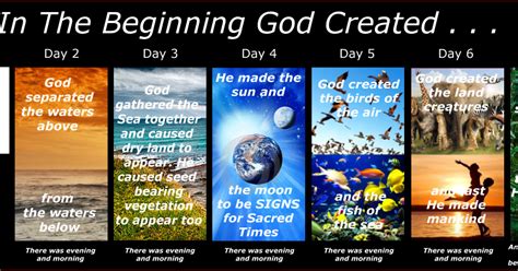 dig deeper sanctuary series  days  creation