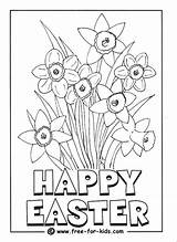 Coloring Daffodils sketch template