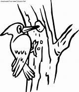 Woodpecker Clipart Coloring Pages Clip Colouring Red Cliparts Bird Kids Hole Sheet Tree Animals Clipground Sheets Library Choose Board Favorites sketch template
