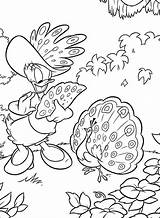 Donald Pages Coloring Disney Mouse Peacock Kolorowanki Mickey Duck Do Daisy Choose Board Cartoon sketch template