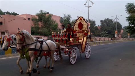 horse chariot meant  marriages driving   road youtube