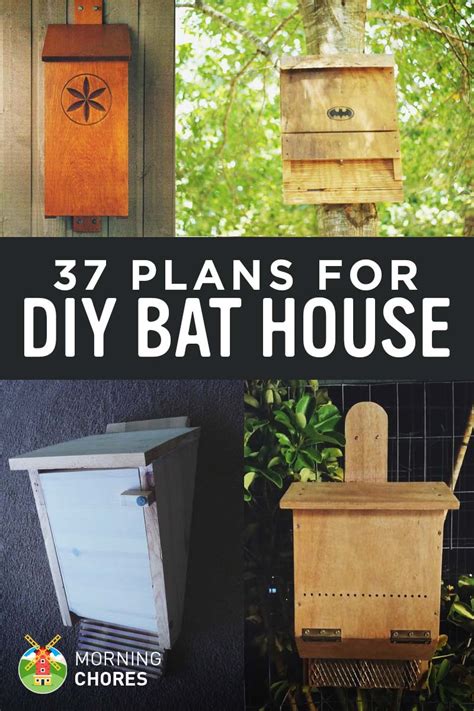 diy bat house plans   attract  natural pest control  save  lives