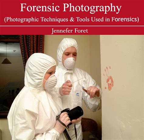 love  find     involved  forensic photography