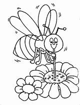 Coloring Pages Bee Honey Honeycomb Bumblebee Color Getcolorings Sheet Printable Getdrawings Colorings sketch template
