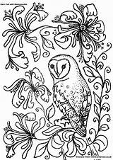 Owl Barn Owls Hibou Snowy Facts Coloriage Fingerprint Coloriages Honeysuckle Coloringhome sketch template