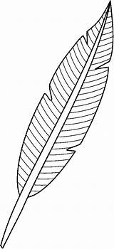 Feather Clip Clipart Feathers Indian Clipartix Clipartcow Cliparts Designs Library Bmp Personal Projects Use These Cliparting sketch template
