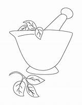 Mortar Pestle Coloring Drawing Pages Getdrawings sketch template