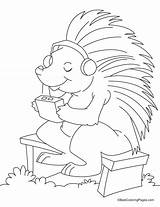 Coloring Pages Porcupine Lavagirl Sharkboy Little Boy Clipart Canadian Popular Library Getdrawings Getcolorings sketch template