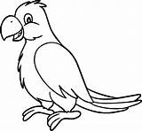 Parrot Coloring Pages Bird Cartoon Jungle Animal Birds Animals Kids Choose Board Printable Super sketch template