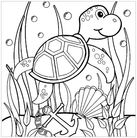 turtle drawing  print  color turtles kids coloring pages