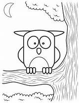 Coloring Getdrawings Jamberry Owl sketch template