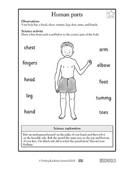 kindergarten science worksheets word lists  activities page