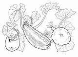 Horta Verduras Tudodesenhos sketch template