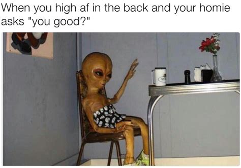 51 Memes That Ll Make Every Stoner Laugh All The Way To
