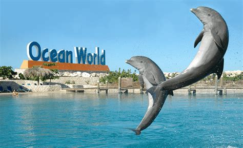 Visit Ocean World In Beautiful Puerto Plata Dominican