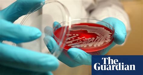 Antibiotic Resistant Superbugs Will Kill 90 000 Britons By 2050