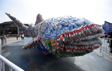 eliminate  great pacific garbage patch