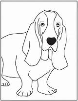Basset Hound Coloring 41kb Pages Template sketch template