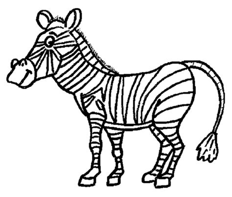 zebra coloring page coloring kids coloring pages clipart
