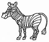 Zebra Cebra Cebras Zebre Colorat Zebras Planse Colorindo Desene Simpatica Kolorowanki Animali Zebry Clipartmag Malvorlage 2548 Aprenden Divierten Juegan sketch template