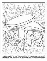 Yukon Created Coloring Book sketch template