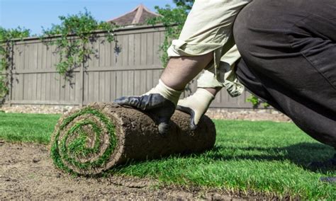 6 secrets to successfully laying down grass sod smart tips