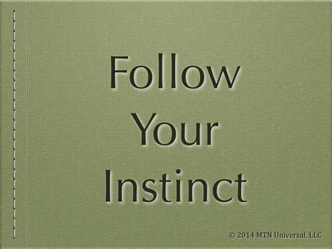 follow  instinct mtn universal