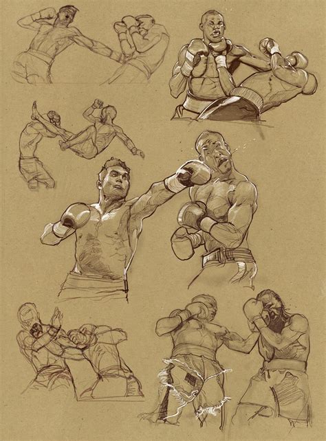 boxing drawing reference  sketches  artists