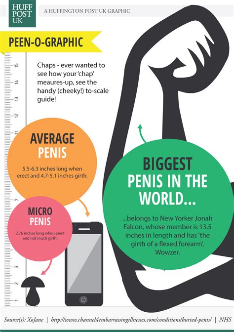 Penis Size Guide How Does Your Member Measure Up