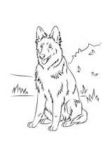 Husky Kleurplaat Hond Coloring Malvorlagen Hunde Ausdrucken Kostenlos sketch template