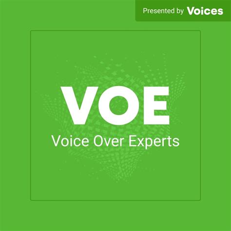 home voice  experts voices