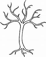 Clipart Clip Winter Tree Outline Bare Drawing Dogwood Apple Trees Cliparts Line Vector Library Branch Music Easy Branches Clker Pinclipart sketch template