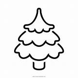 Coloring Pine Tree Pages Printable Getcolorings Color sketch template