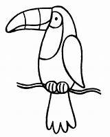 Toucan Coloring Bird Kids Pages Drawing Outline Printable Clipart Sam Sheets Sheet Cliparts Cartoon Digi Tucan Template Stamp Clip Rainforest sketch template