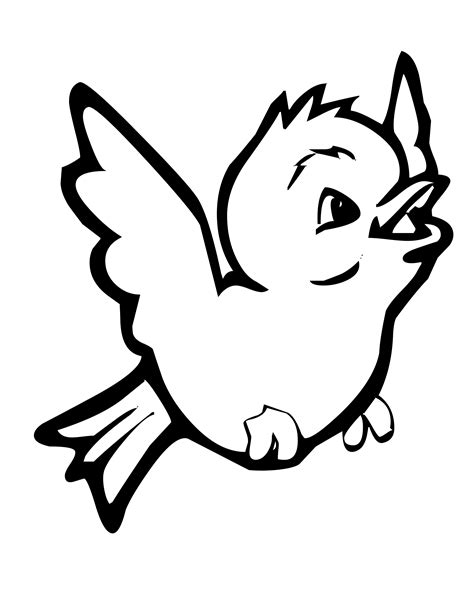 birds colouring pages