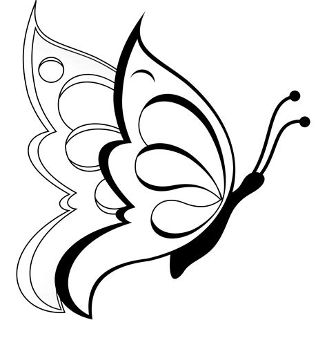 simple butterfly drawing  getdrawings