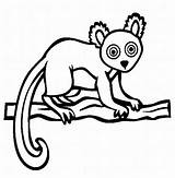 Lemur Rainforest Lemure Dltk Endangered Tiere Malvorlage Clipartmag Gratismalvorlagen Kategorien sketch template
