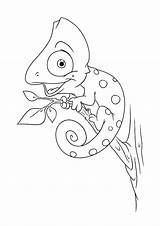 Chameleon Kolorowanki Kameleon Camaleonte Colorare Dla Cartone Animato Animale Pagine Ipastock sketch template