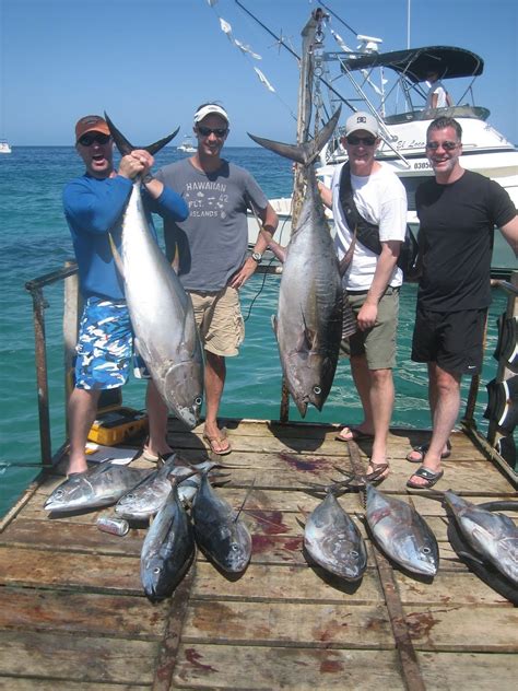 baja fish blog van wormer resorts fishing reports