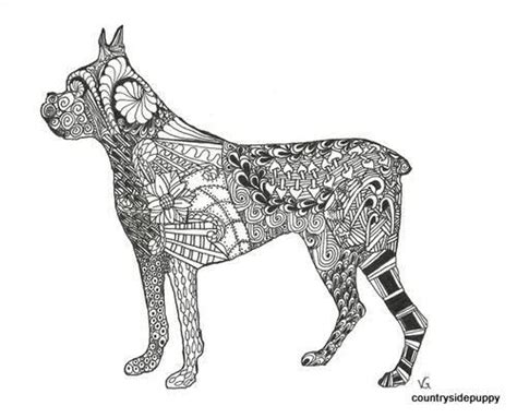 boxer dog instant  adult coloring digital print etsyde