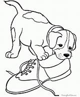 Coloring Puppy Pages Printable Library Clipart Beagle sketch template