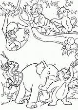 Animales Selva Jungle Páginas Fransadhu Dibujo sketch template