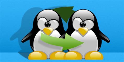 linux swap partition      linux open browser partition