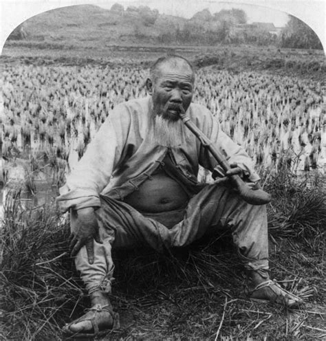 china farmer    chinese farmer seated   rice field